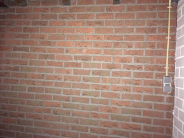114016_IMG_4499_1.jpg