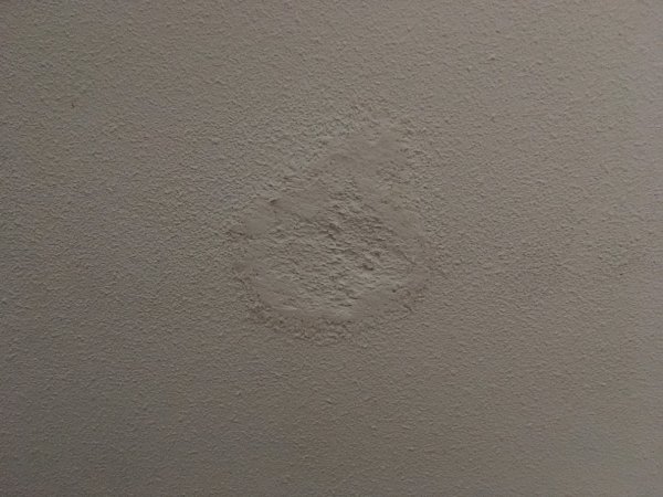 114016_IMG_5291_1.jpg