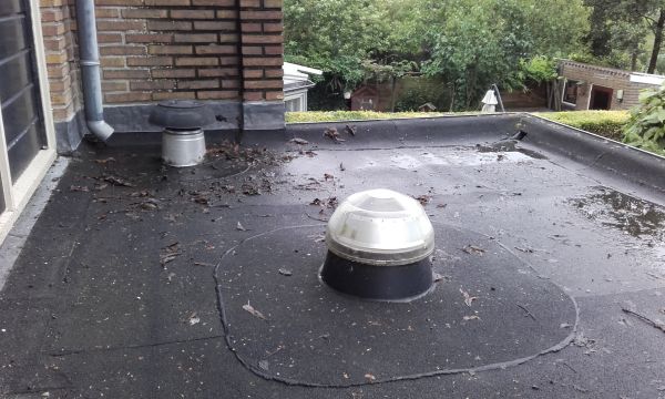 114138_20160621_094615_1.jpg