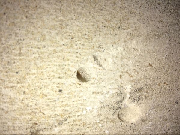 114286_image_8.jpg