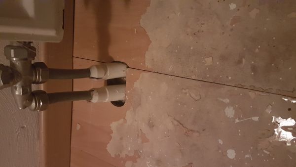 114328_20160714_233353_1.jpg
