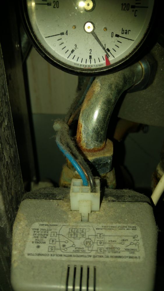 114464_roest_onder_de_meter_1.jpg