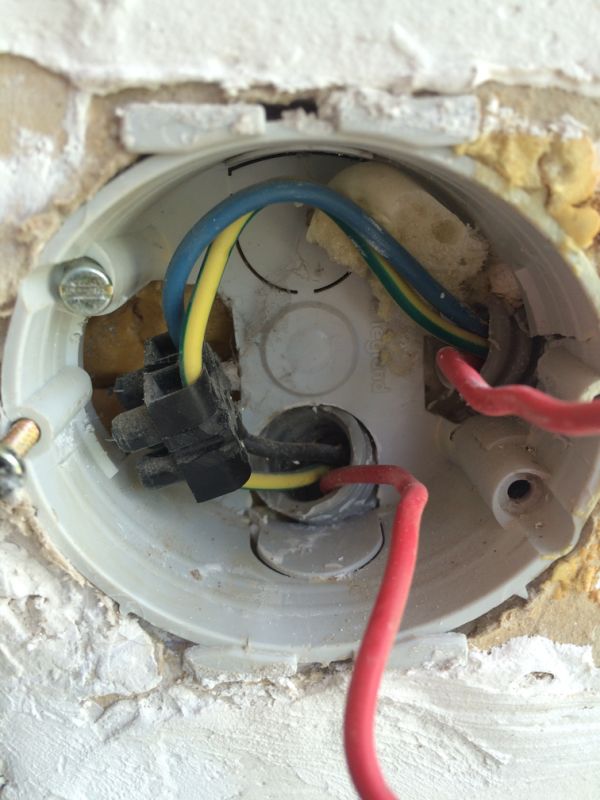 114494_open_elecdoos_1.jpg