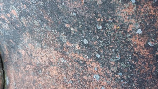114502_20160810_203704_1.jpg