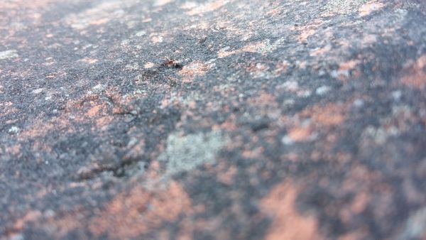 114502_20160810_203723_1.jpg