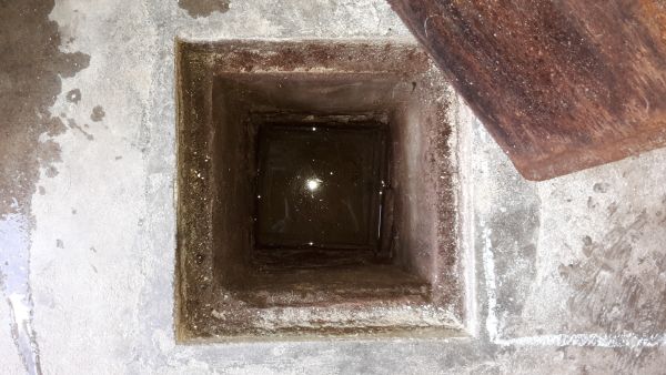 114681_20160818_131013_1.jpg