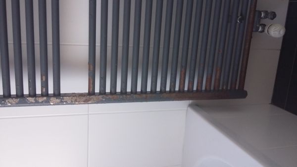 115014_20161005_111508_2.jpg