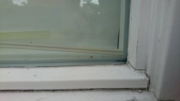 11506_DSC_0342_1.jpg