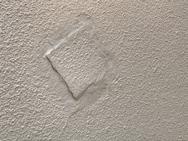 11507_IMG_2478_2.jpg