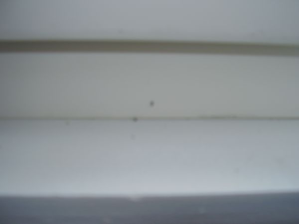 115281_P1010339_1.jpg