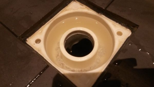 115288_image_3.jpg