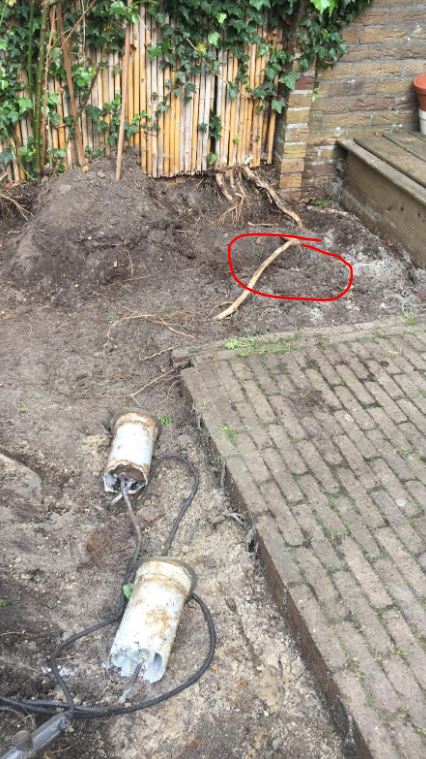 115305_tuin3_1.jpg