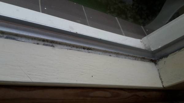 115839_20161209_085702_2.jpg