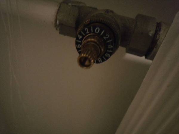 115856_IMG_20170104_200332_1.jpg
