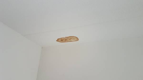 115904_20170108_112522_1.jpg