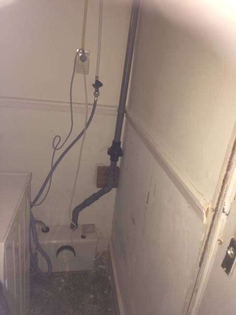 116000_IMG_4763_6.jpg