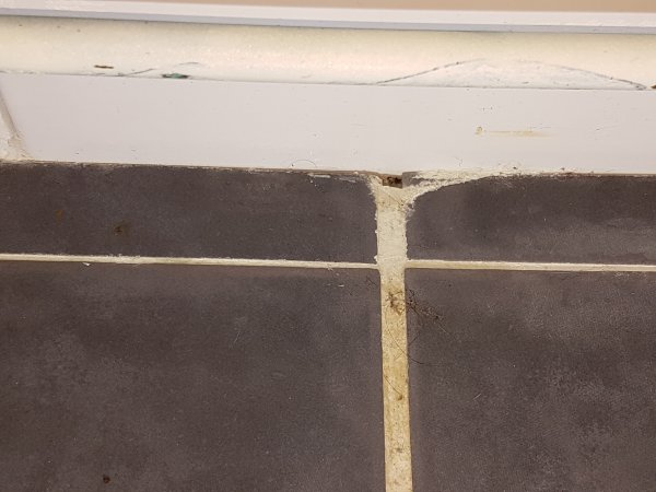 116192_20170205_221158_1.jpg