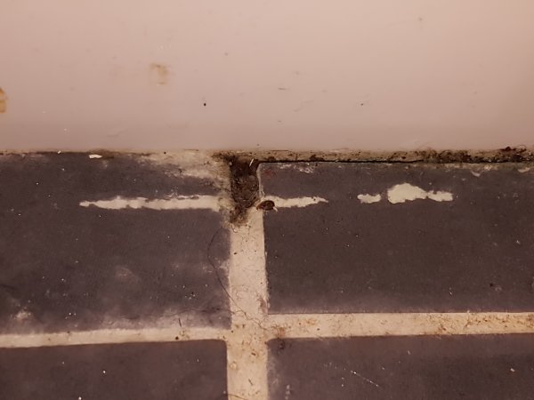 116192_20170205_221215_1.jpg