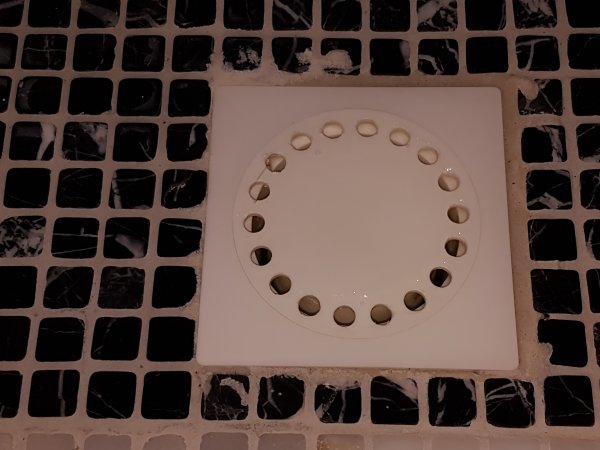 116192_20170205_221231_2.jpg