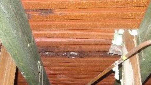 116304_roest_1.jpg