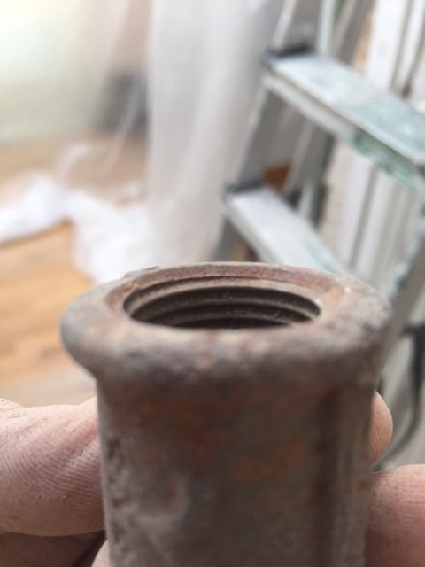 116460_image3_1.jpg