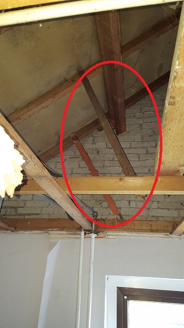 116647_plafond_1.jpg
