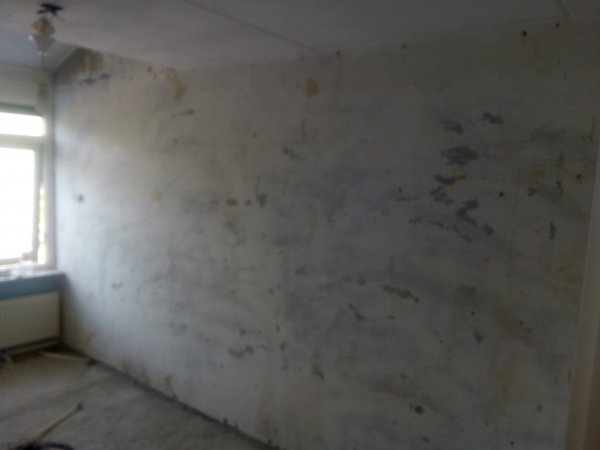 116755_IMG_20170514_094350_1.jpg
