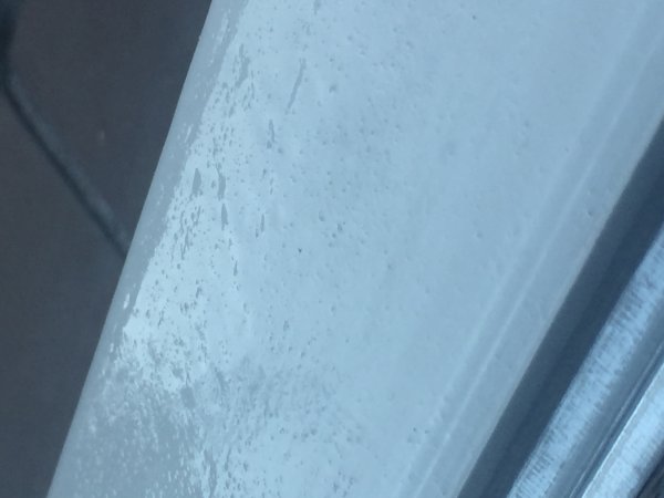 117024_IMG_4937_1.jpg