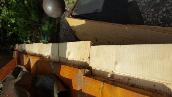 117190_20170602_115657_2.jpg