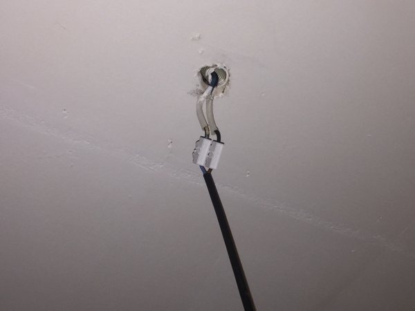 117250_IMG_0106_1.jpg