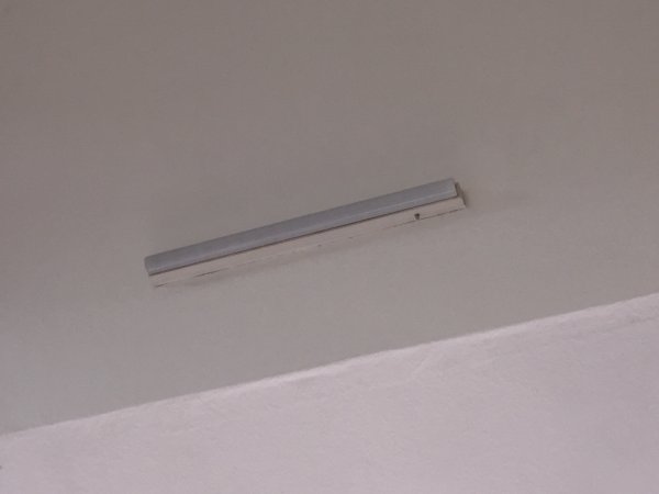 117250_IMG_0108_1.jpg