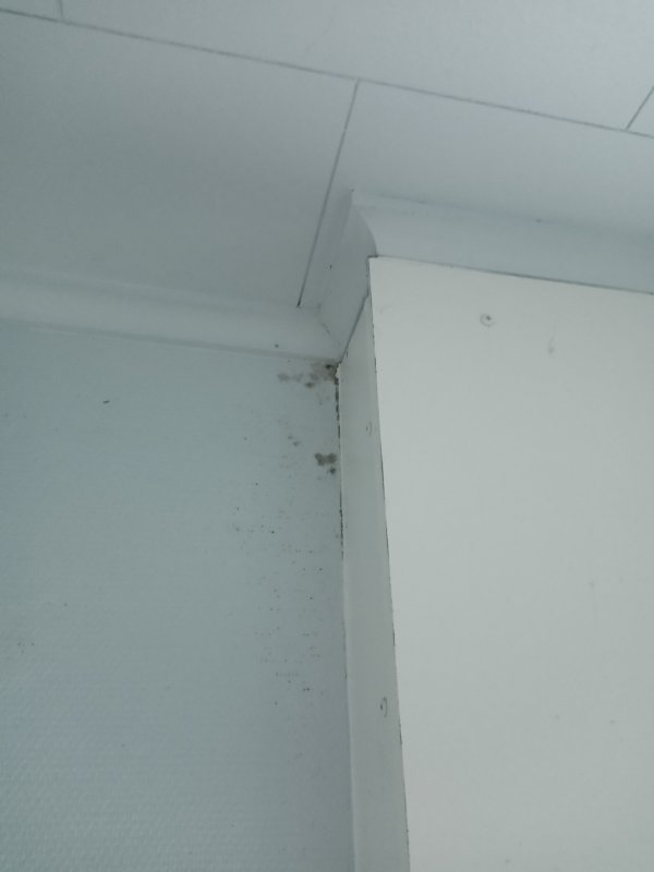 117333_IMG_20191102_133503_3.jpg
