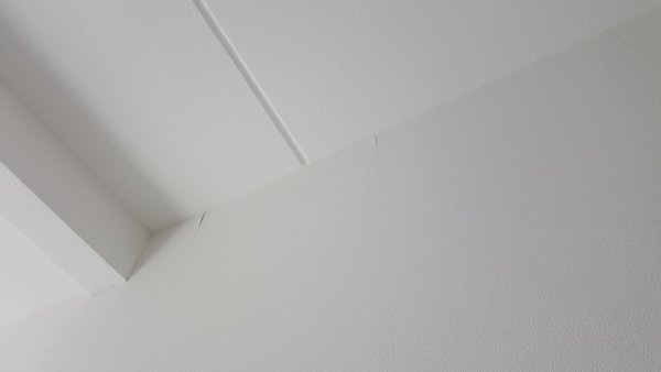 117339_20170619_142111_1.jpg