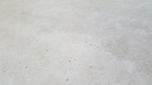 117339_20170619_143042_1.jpg