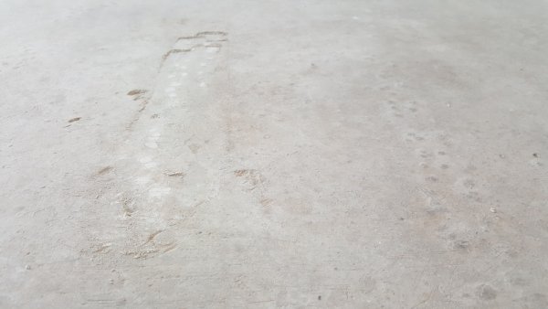 117339_20170619_145659_1.jpg