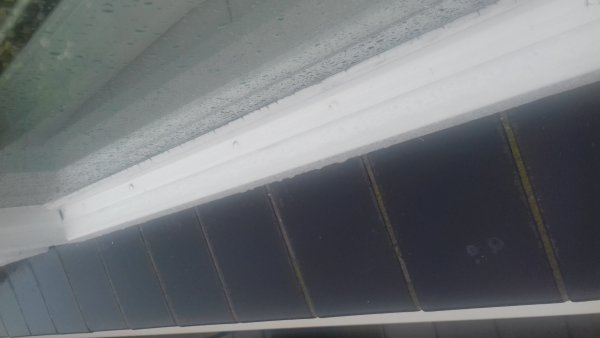 117399_glaslat_3.jpg