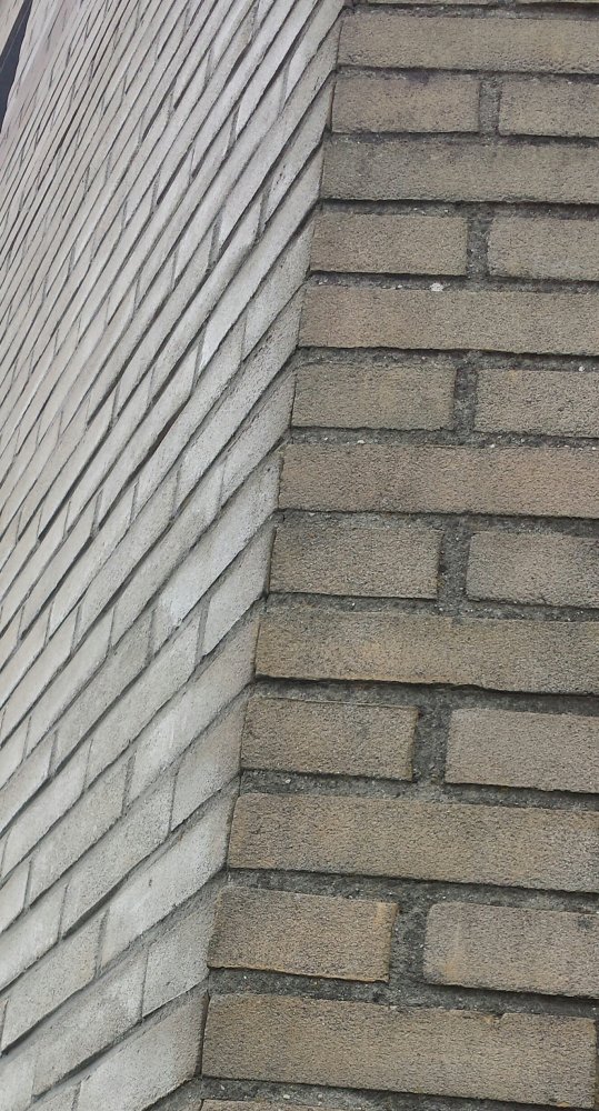 117472_20180820_1420081_2.jpg
