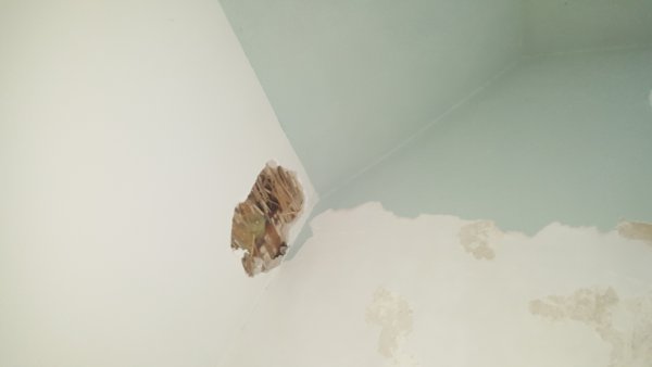 117560_20170731_201217_1.jpg