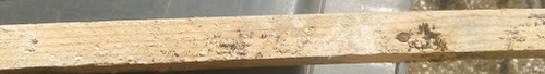 117596_cutmypic_1.png