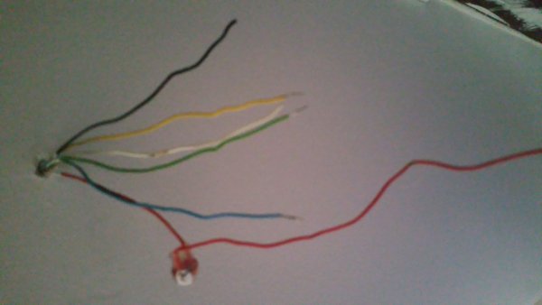 117641_IMG20170729WA0002_1.jpg