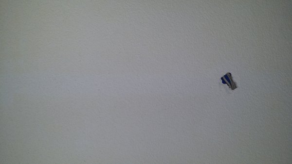 117667_20170730_153719_1.jpg