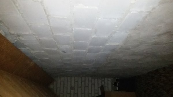 117670_20170731_163531_2.jpg