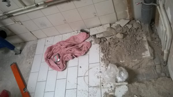117689_WP_20170802_19_30_47_Pro_1.jpg