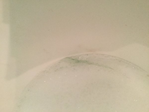 117729_IMG_0528_1.jpg