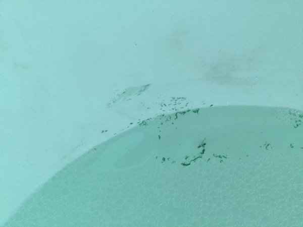 117729_IMG_0531_1.jpg