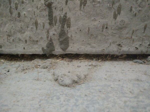 117964_IMG_20180222_091154_1.jpg