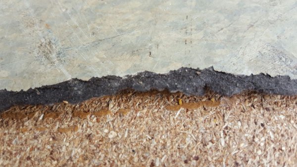 118029_1_1.jpg