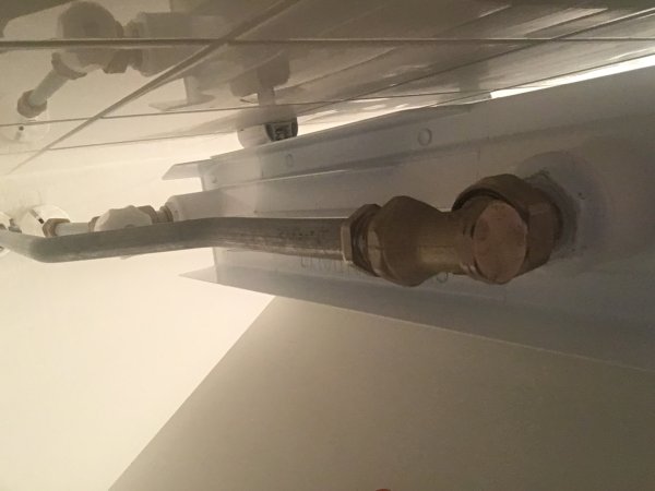 118055_IMG_3773_2_2.jpg