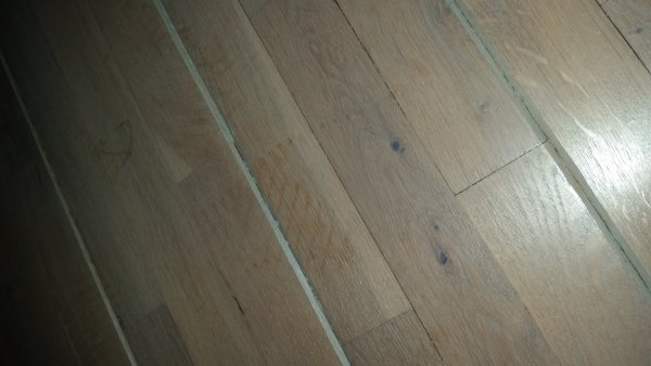 118110_1505496871684264921799_1.jpg