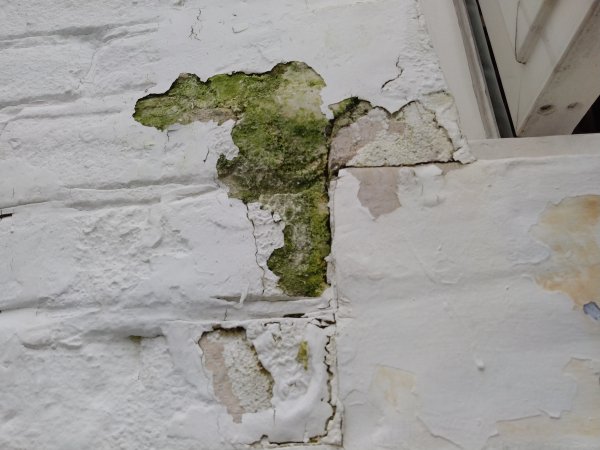 118164_IMG_20170920_093119_1.jpg